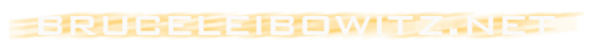 Bruceleibowitz.net Logo
